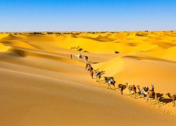 Desert expeditions