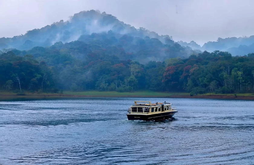 Epic Kerala - Mega Price Drop Sale